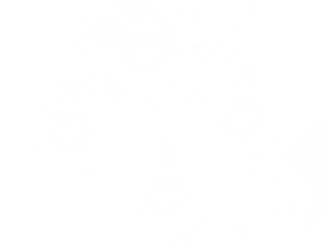 Hydraulic Institute DATA TOOL